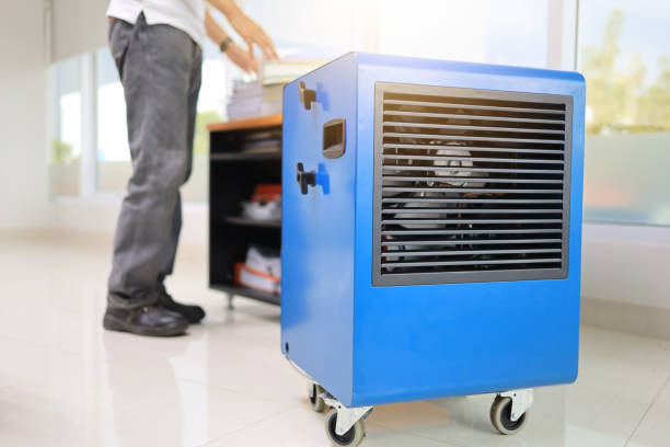 Best Mold Removal for HVAC Installations  in Flemingsburg, KY
